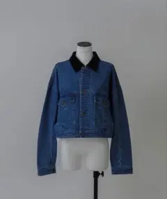 希少♪LOHEN ローヘン 24AW デニムジャケット LH24A-JK066 2026年最新】LOHEN デニムジャケットの人気アイテム - メルカリ
