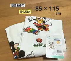 Item thumbnail for item 2838bb06-e4e4-4557-8661-92714465be01