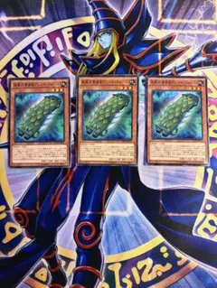 2026年最新】カード種別：モンスターカード 遊戯王OCG デュエル