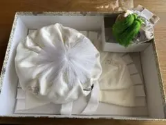 Item thumbnail for item 3f10c363-80e8-48c7-b029-b11311e11285