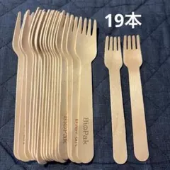 Item thumbnail for item ed6f084d-abc2-432a-9985-9be24d21d46a