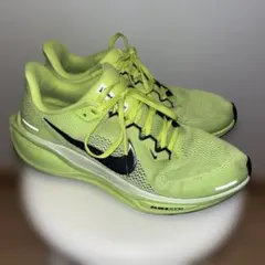 NIKE ZOOMx DRAGONFLY 25cm スパイク - メルカリ