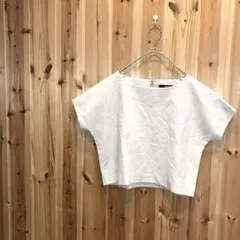 【ビッキー】Tシャツ　半袖　ショート丈　裏地付　大人可愛い　ベージュ系のサムネイル