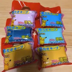 ポケットモンスター　理想のペットボトルカバー　5種6個セット