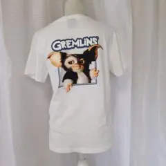 Item thumbnail for item 878cb2b0-4f15-483b-aed3-754913bae3d6