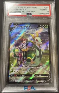 ジャローダV CSR PSA10 鑑定品