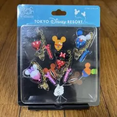 東京ディズニーリゾート 30周年キャラクター　イヤホンジャック