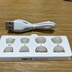 イヤーチップ、USB-C&USB-Aケーブル(soundcore P40i)