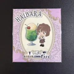 名探偵コナン　アートパネル　灰原哀