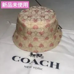 Item thumbnail for item 1167b719-42f7-44a6-8c09-5044881ecd6f