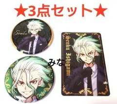 Dr.STONE ブラックスーツ 缶バッジ コレクションカード 千空