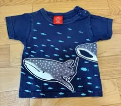 OJICO ジンベエザメ Tシャツ ネイビーのサムネイル