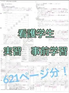 2026年最新】事前学習 看護の人気アイテム - メルカリ