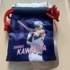 Item thumbnail for item 3992f4a6-3dea-446e-bada-3fbe66763dd5