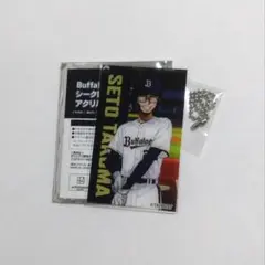 オリックス・バファローズ　ダイヤのA　アクリルカード　瀬戸拓馬