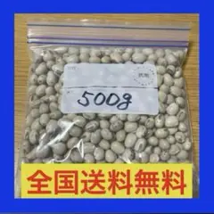 晴れの国岡山産ムクナ豆【八升豆】500g‼️