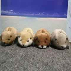 2026年最新】むっちりビーバーの人気アイテム - メルカリ