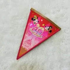 【美品】ディズニー　40周年　ドリームガーランド　赤　ピンク