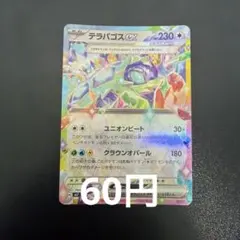48.テラパゴスex RR ポケモンカード