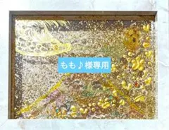 もも♪様 リクエスト 2点 まとめ商品