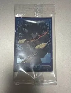 俺だけレベルアップな件　カード　SR　SUNG JINWOO　13枚セット 韓国 正規品 俺だけレベルアップな件 コレクションカード SR フル