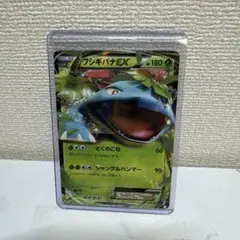 フシギバナEX SR XY1 コレクションX 061/060 - メルカリ