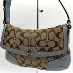 coach Hobo one shoulder bag Signature