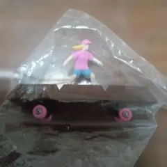 リトルボーダー　チョコレート