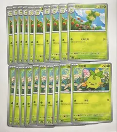 ポケモンカードゲーム 海外版 中国版 オリーニョ ミニーブ ノマカ各10枚