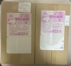 【新品未開封】ポケモンセンター フクオカ スペシャルボックス　シュリンク付き×2