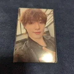 SEVENTEEN　ディノ　会場限定　トレカ　weverse