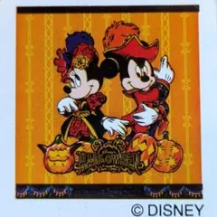 TDS ハロウィーン2015 ヴィランズ ミッキー ミニー ウォッシュタオル