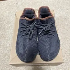 YEEZY BOOST 350 V2 キッズ　⭐︎20cm