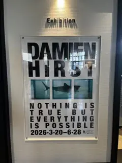 damien hirst 韓国 図録ダミアンハースト | Mercari