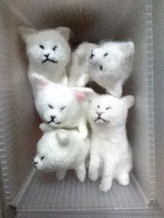 9*す様 〜ハンドメイド〜　羊毛フェルト白猫 5匹　手乗りサイズ　まとめ