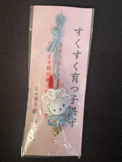 Item thumbnail for item 6beac1fc-4c8e-4118-b2e6-8a790071aecb