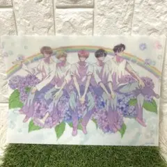 多聞くん今どっち!? 連動購入 クリアファイル メロンブックス 1枚