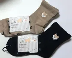 柴犬 ソックス