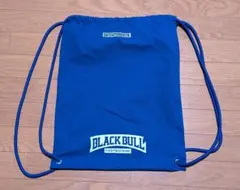 Item thumbnail for item bba9503f-b156-44da-be2d-c5b5d52db738