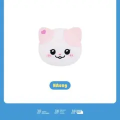 ITZY TWINZY うちわケース NAong ユナ 韓国 ペンミ