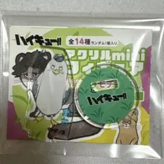 ハイキュー!! ボドゲ 白馬芽生 240セット前後 ハイキュー ボドゲ 星海 昼神 白馬 - メルカリ