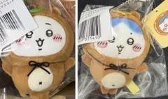 ちいかわ　たぬきだもんくじC賞　ちいかわ、ハチワレセット