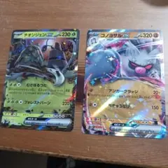 チョンジエンEX・コンヨザルEX 2枚セット