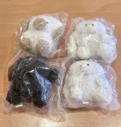 じょせまる ガチャ