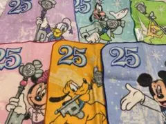 ディズニー25周年 タオルセット