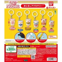 日清カップヌードル めじるしアクセサリー　全6種 コンプリート