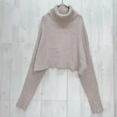 グレイル　ボリュームタートルネックリブニット　ショート丈　F