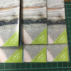 【本郷柚巴】週刊少年マガジン応募券6枚