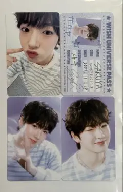 NCT WISH シーグリ サクヤ