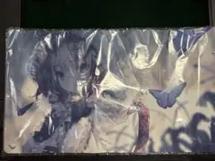 シャドウバース　jcs セッカ　ラバーマット 2025年最新】ラバーマット セッカの人気アイテム - メルカリ